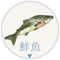 鮮魚