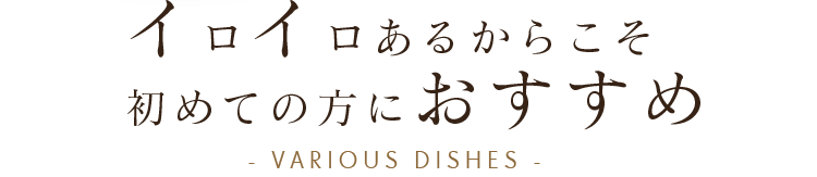 イロｲロあるからこそ初めての方におすすめ